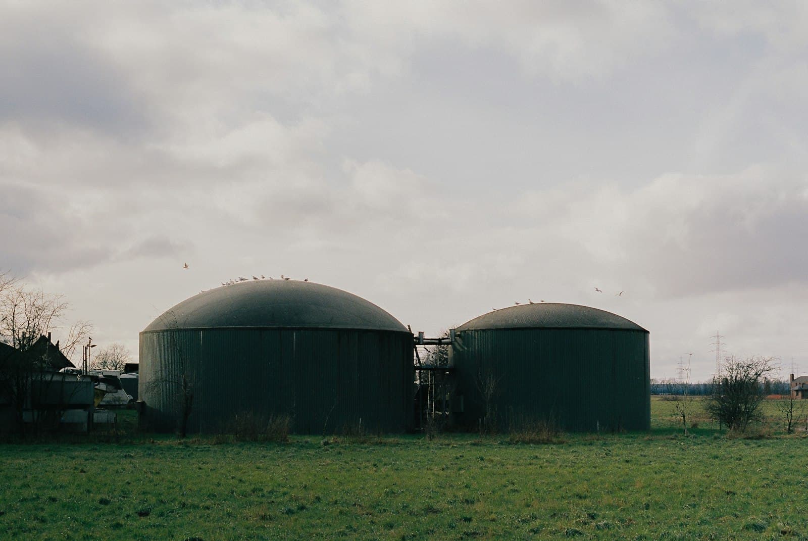 Two green digester tanks at a biogas plant in a field